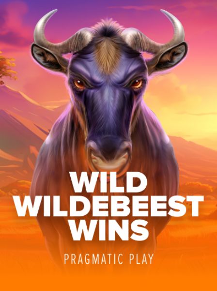 CoinSpin Casino: Where Every Spin Could Change Your Fortune